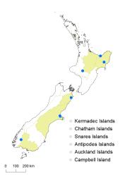 Cotoneaster frigidus distribution map based on databased records at CHR. 
 Image: K. Boardman © Landcare Research 2017 CC BY 3.0 NZ
